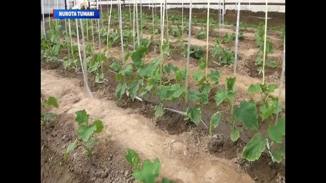 Жамоатчилик кенгаши фаолияти ҳақида