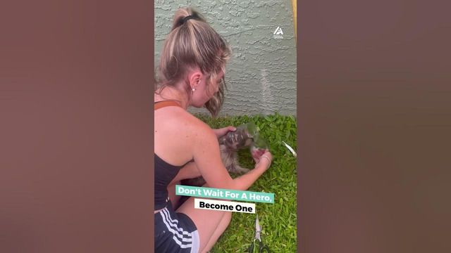 Two Girls Rescue Racoon From Bottle | People Are Awesome #shorts