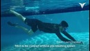 Изобретены искусственные жабры для плавания под водой