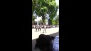 Гулистанский гиревик come back)
