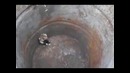 Хомяк каратист