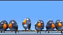 For the Birds (О птичках) short animation movie
