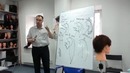 Формы стрижек. Павел Баженов