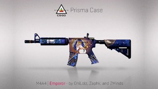 Prisma case opening (new csgo case)