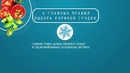 Вся правда о куриной грудке [Workout | Будь в форме]