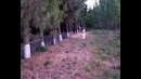 Девочка неудачно ловит летающую тарелку