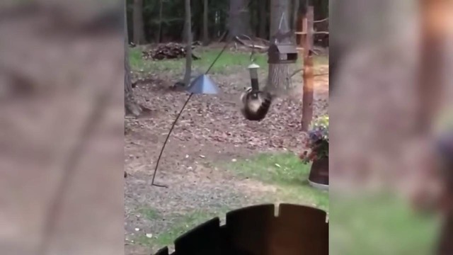 Я ржал целый час / тест на психику, попробуй не засмеяться