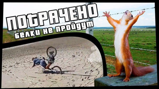 Белки не пройдут ¦ ПОТРАЧЕНО