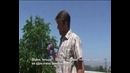 Сумасшедшее предложение руки и сердца