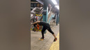 Forget the rat race, we’ve got the acrobat chase