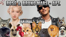 ROSÉ & Bruno Mars – APT. (Animal Cover)