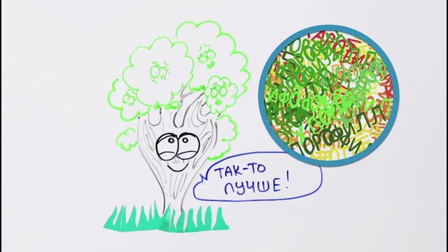 Почему желтеют листья؟ — Научпок