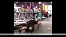 Лучшие спортивные вайны