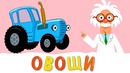 ОВОЩИ – Развивающая песенка мультик про полезную еду и синий трактор для детей