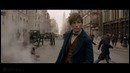Премьера недели: Фантастические твари и где они обитают