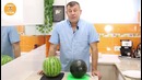 Как Выбрать и Нарезать Арбуз / Арбузный Коктейль