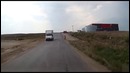 Пес спасает пса