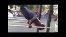 The Top 10 Strongest Moves of 2009