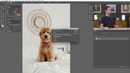 Let’s Take a Tour of Photoshop! – Day 1