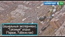 Социальный эксперимент – "Грязный" отдых (Чарвак, Узбекистан)