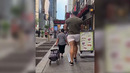 LIKE A BOSS COMPILATION #105 AMAZING Videos 2023 #likeaboss