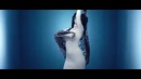 Jasur G’oipov – Ming afsus (Official Music Video)
