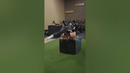 Handstand Box Step Up by @littlefitness