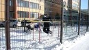 Сила воли. Видео для конкурса Street Workout