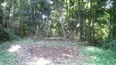 Primitive Technology: Thatched Dome Hut