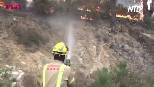 На границе Франции и Испании горят леса