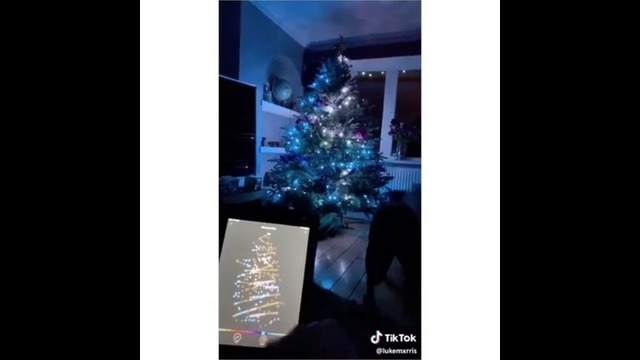 Все, что я хочу для # cновым годам это дерево