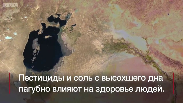 Лес на дне морском – зачем Узбекистан засаживает пересохший Арал