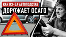 Как работают автомошенники? Почему дорожает ОСАГО