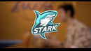 STARK Gaming