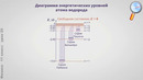 Квантовые постулаты Бора