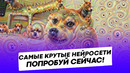 Самые крутые нейросети которые можно опробовать уже сейчас