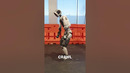 Колесо и нижний брейк! Новые трюки робот Atlas Boston Dynamics | PRO Роботов