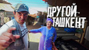 Этот рынок в Ташкенте тщательно скрывают / Разоблачение Узбекистана ?? #ташкент #узбекистан