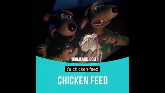 06 – Chicken feed