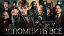 Фантастические твари – полный пересказ событий