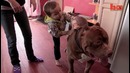 Знакомства Халк 175 кг Семья Pit Bull