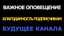 Нужна помощь! благодарность подписчикам. будущее канала