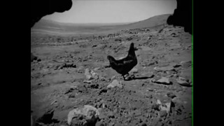 Курица на Марсе видео NASA