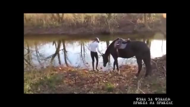 Когда кон боится воды