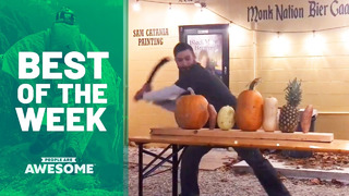 Best of the Week | 2019 Ep. 41 | People Are Awesome