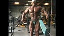 BODYBUILDING