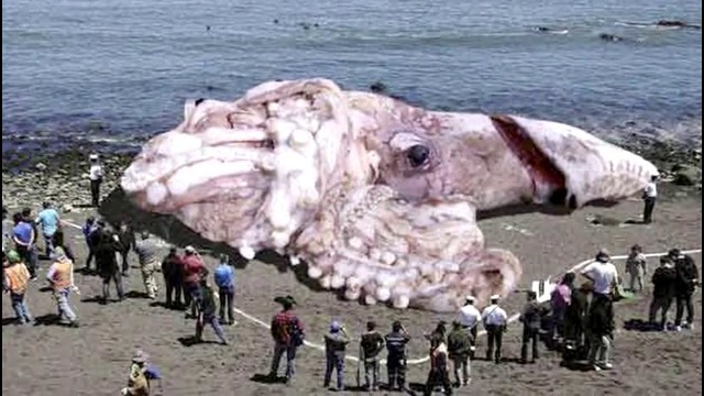 10 самых известных интернет легенд со всего мира