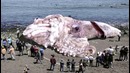 10 самых известных интернет легенд со всего мира