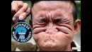 50 неординарных рекордов Гиннеса
