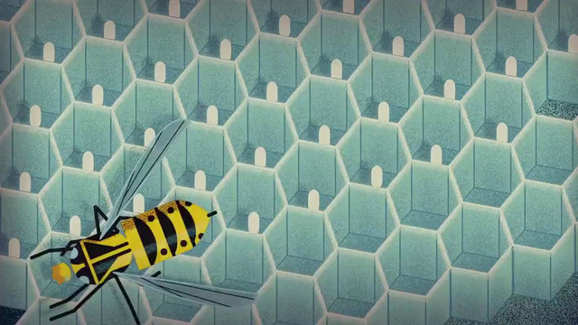 Edu – Жизнь королевы ос